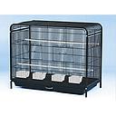 Bird Cage |  D630