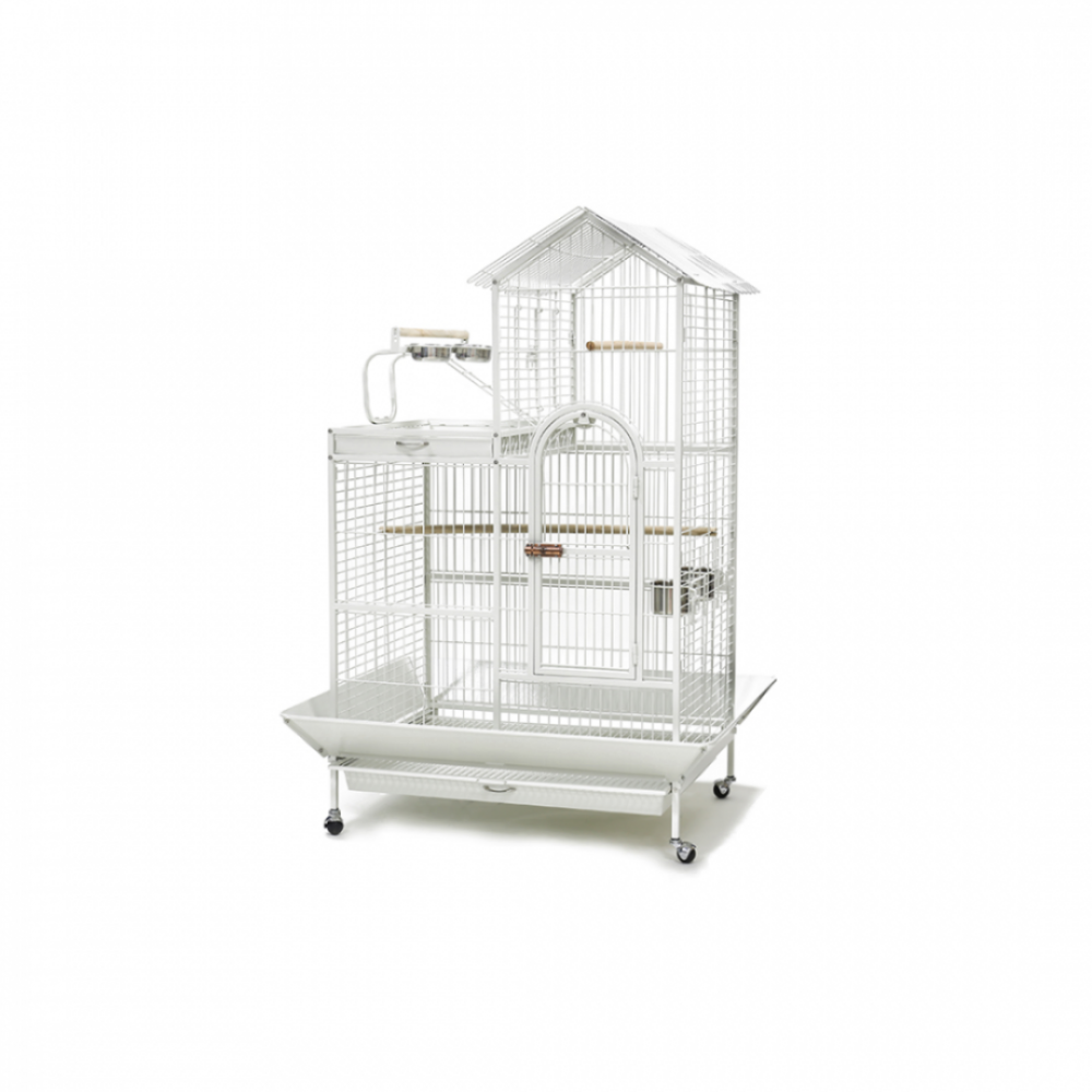 Bird Cage | A17            