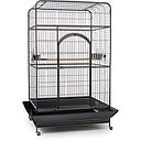 Bird Cage  | 32A            