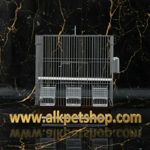 Bird Cage | 6405