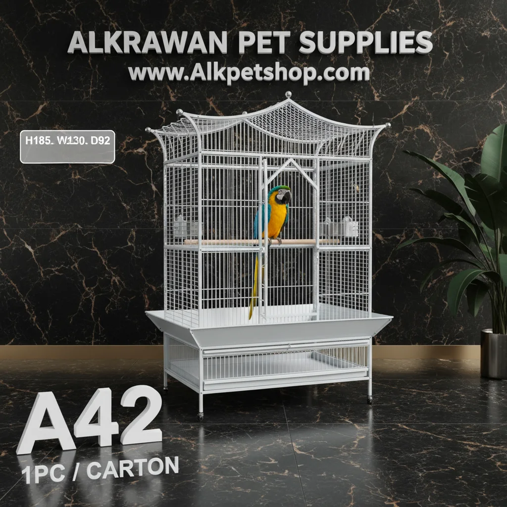 Parrot Cage | A42