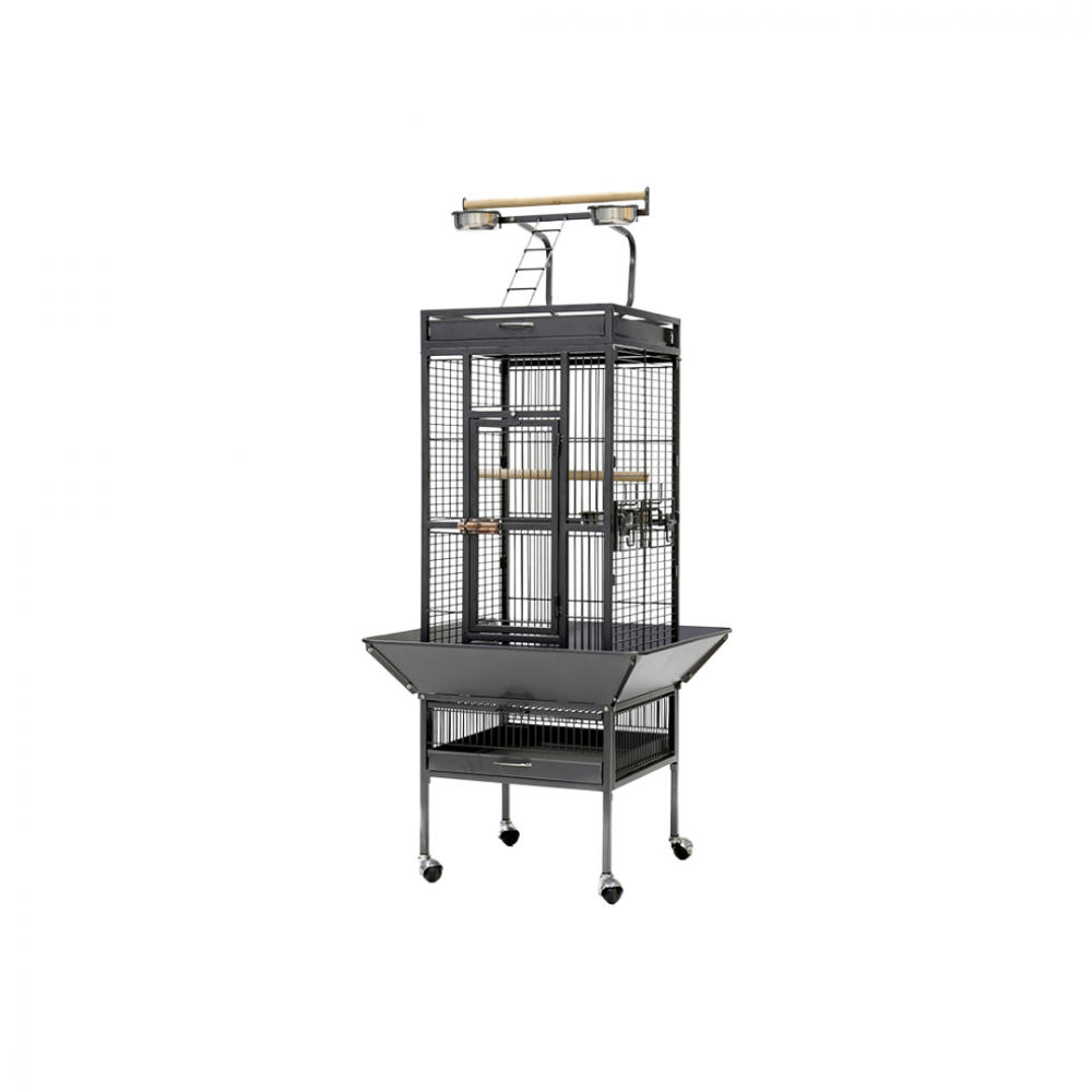 Parrot Cage | A10 