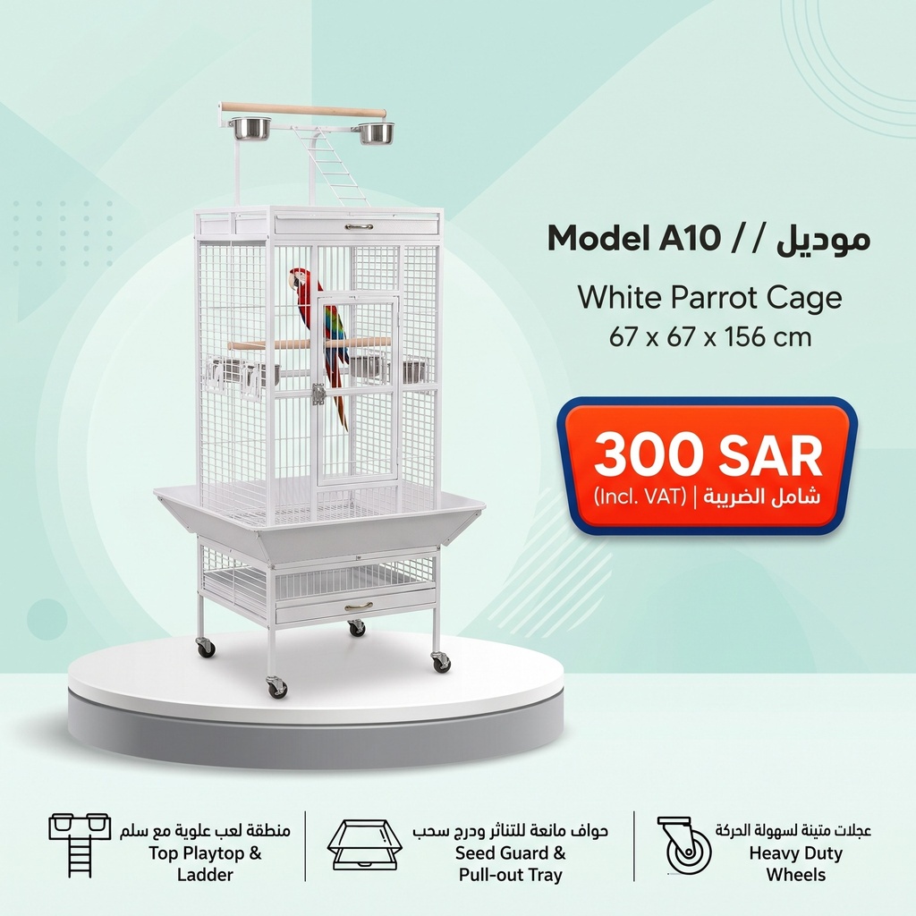 Parrot Cage | A10 