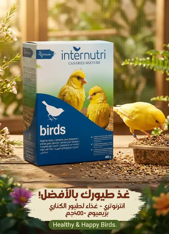 إنترنوتري | غذاء للكناري | 400 غم