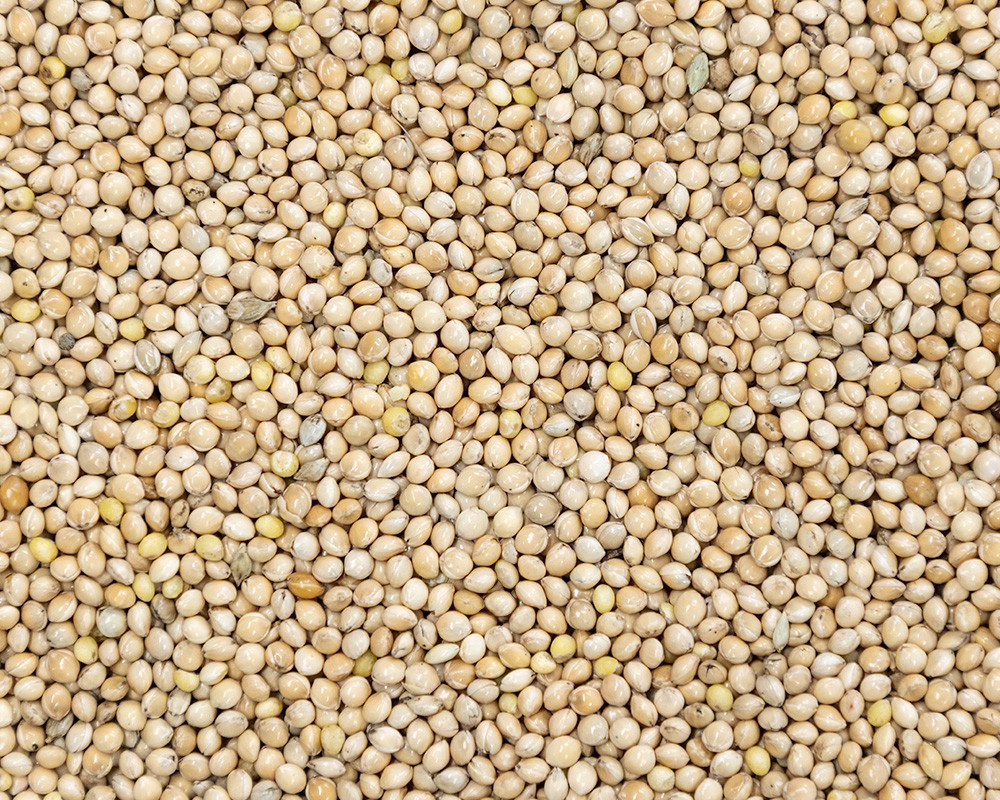 Tekline | White Millet |15kg