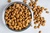 Dry Dog Food