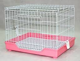 [R11] Cat Cage | R11