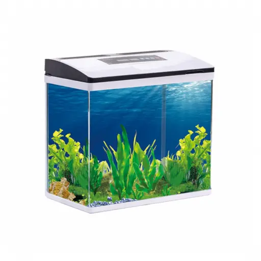 Fish Aquarium | AF465