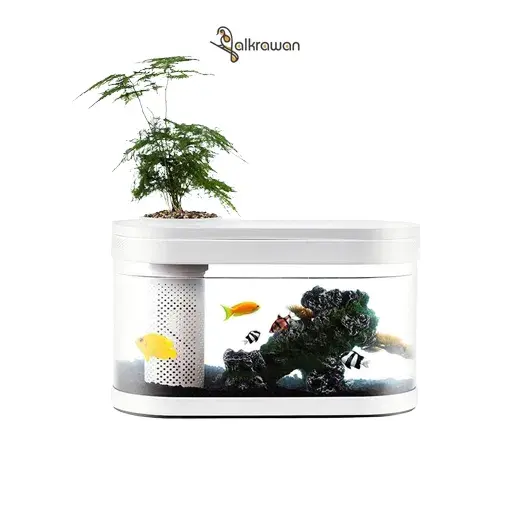 [ECO] حوض اسماك بتصميم هندسي من اكوابونيكس، نظام بيئي متكامل صغير