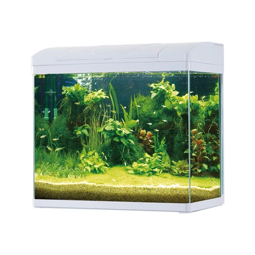Pufeit | Fish Aquarium | PF625