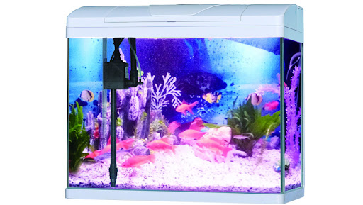Pufeit | Fish Aquarium | PF825