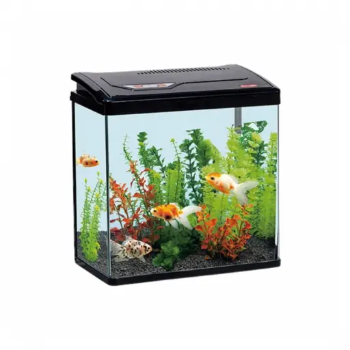 Fish Aquarium | PY380