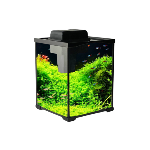Leecom | Aquarium | XK200