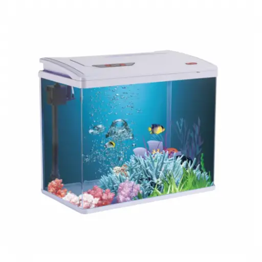 Fish Aquarium | PY480