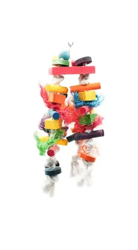 [LBW0018] LBW0018 | لعبة الببغاء.