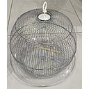 [350C] Bird Cage  | 350 | Silver
