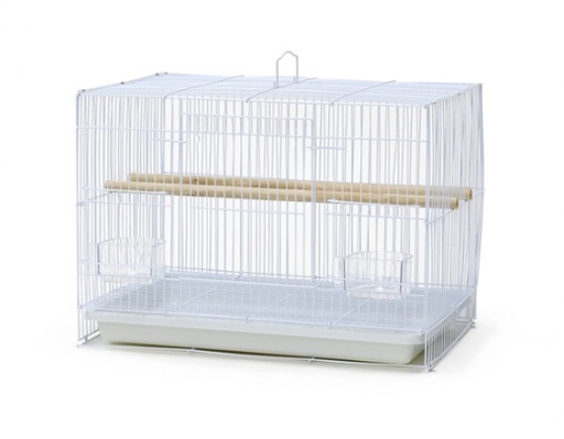 [BQ07/A468/600/B05-2] Bird Cage | 600
