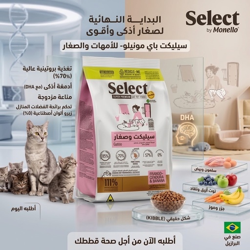 [3000733]  Select | Mother and Kitten | 7kg