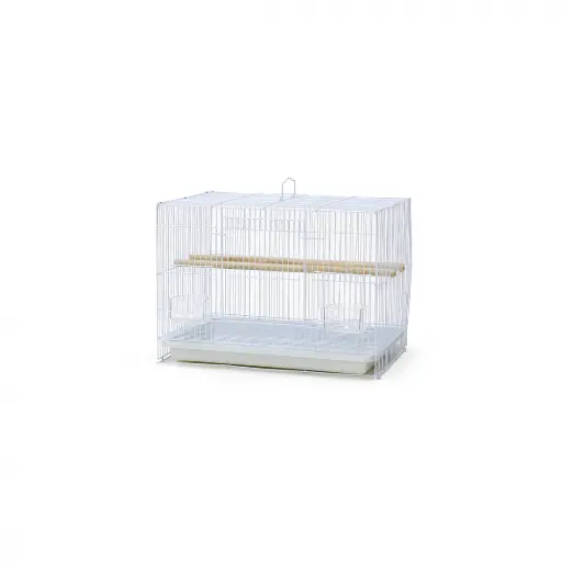 [B05] Bird Cage | B05