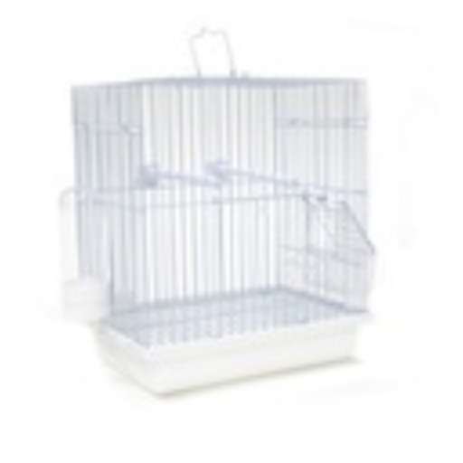 Bird Cage | 155            