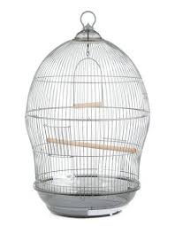 قفص طيور | 480 | رمادي