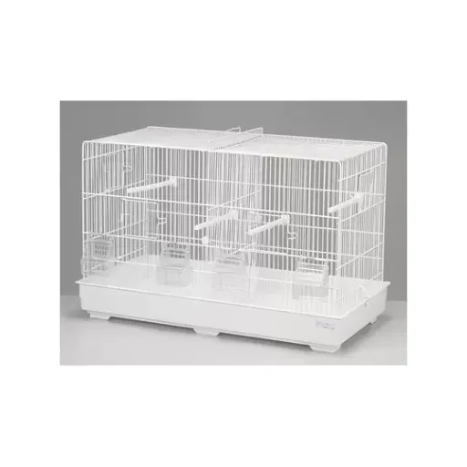 Bird Cage | 520             