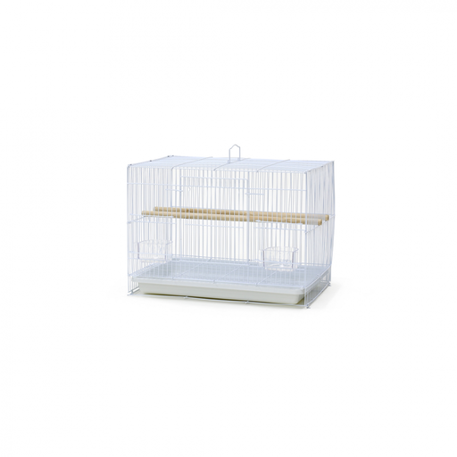 Bird Cage | 600