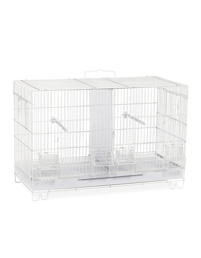 Bird Cage |  A601(503)
