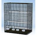 [A762] [C119] قفص الطيور A762