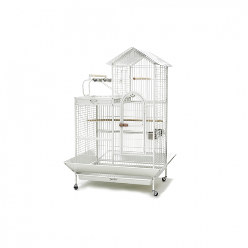 [A17] Bird Cage | A17            