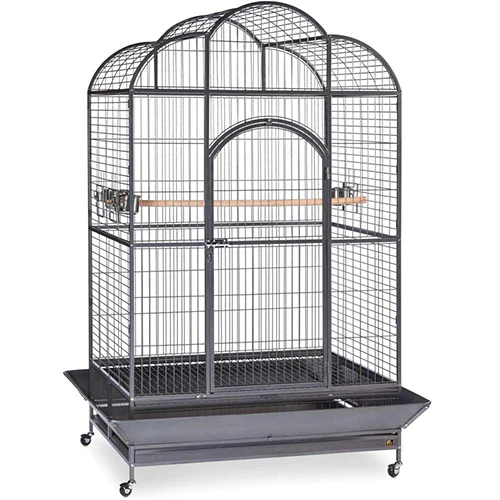 A15 | قفص ببغاء كبير 