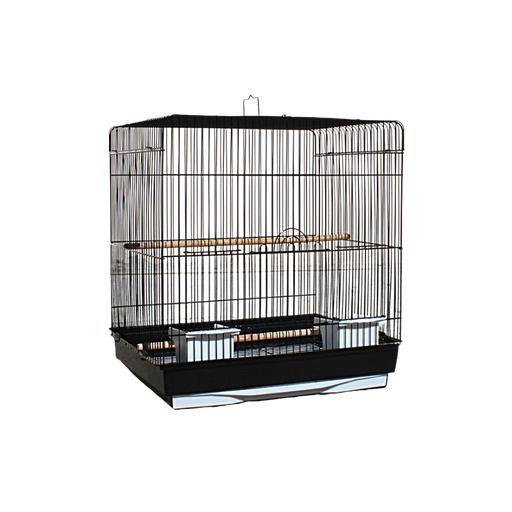 [615R] Bird Cage | 615R