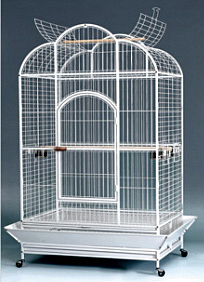 [C503] Parrot Cage |  A24W