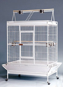 [C510] Parrot Cage             A20