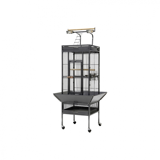 [A10] Parrot Cage | A10 