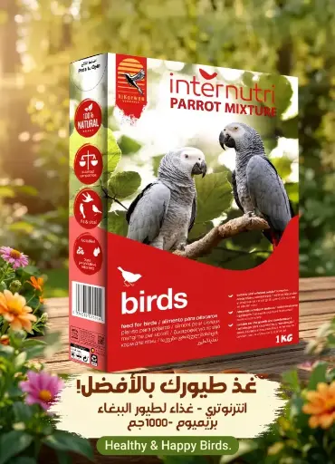 [PIM1] إنترنوتري | غذاء للطيور |  1 كغم